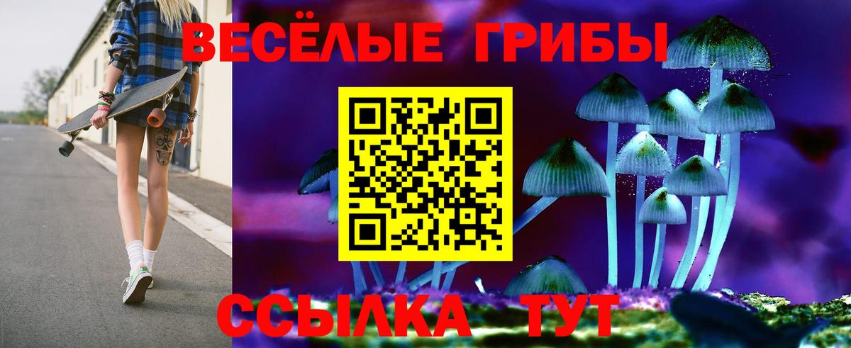 Псилоцибиновые грибы прущие грибы  Псилоцибиновые грибы GOLDEN TEACHER  Вход с VPN  Буйнакск 