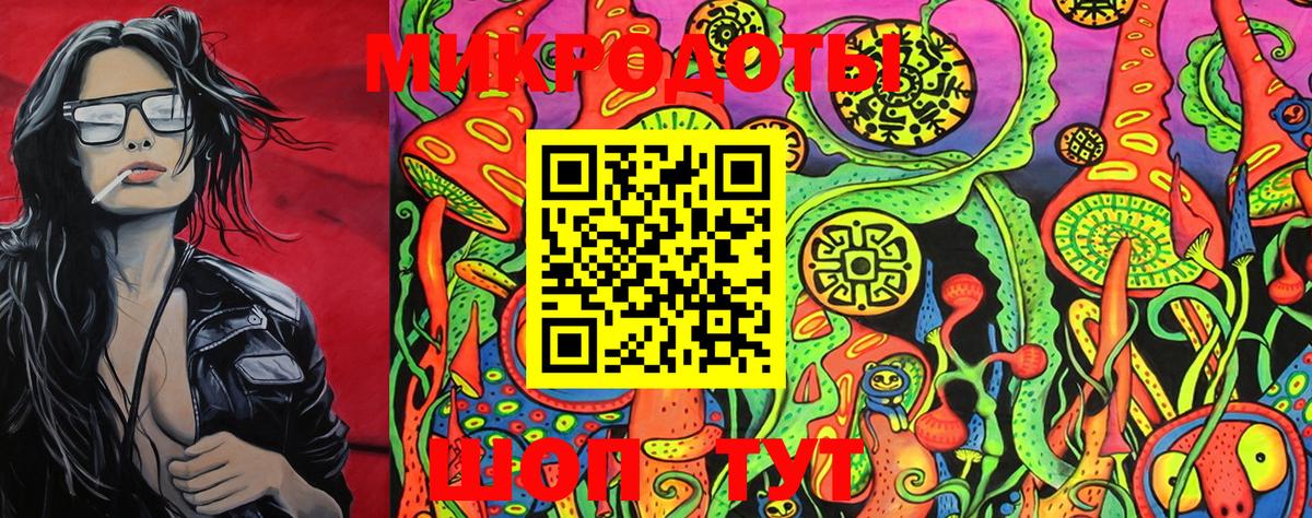 Галлюциногенные грибы Cubensis Буйнакск